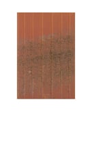 Biberschwanzziegel_antik_ZR_Traufplatte